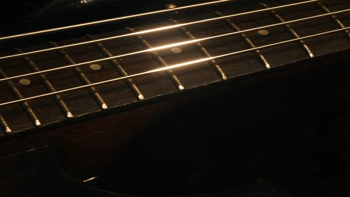 Looking down the bass neck, frets receding toward the headstock